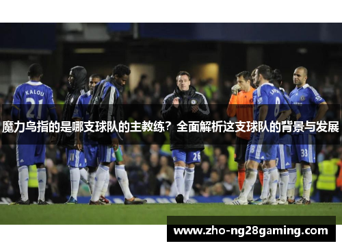 魔力鸟指的是哪支球队的主教练？全面解析这支球队的背景与发展