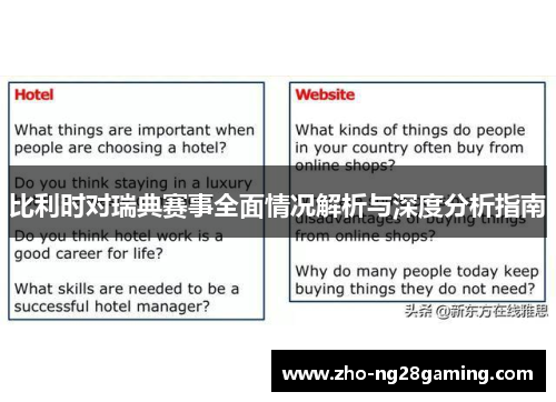 比利时对瑞典赛事全面情况解析与深度分析指南