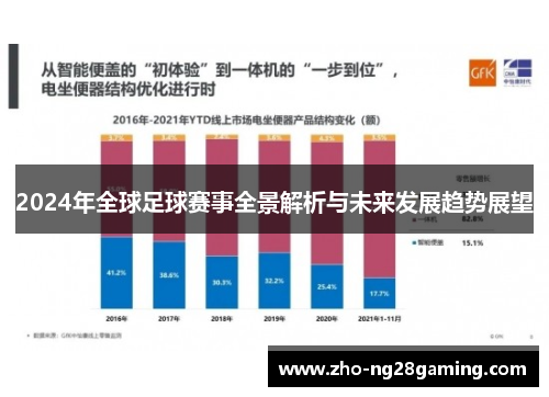 2024年全球足球赛事全景解析与未来发展趋势展望