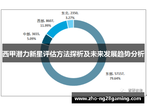西甲潜力新星评估方法探析及未来发展趋势分析